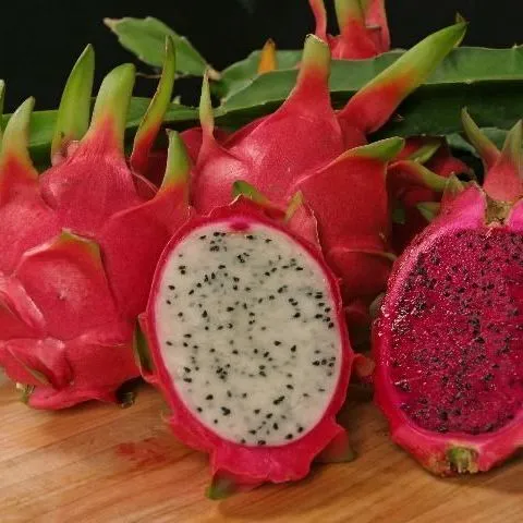 thumbnail for publication: Cultivando pitaya (fruta del dragón) en el jardín de su hogar en Florida